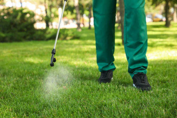 Best Pest Removal Services  in Alvarado, TX